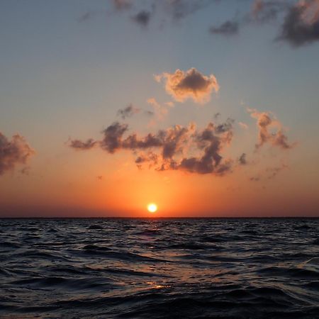 Ikarus Costa Mujeres Eco Lodge Sunset View Κανκούν Εξωτερικό φωτογραφία