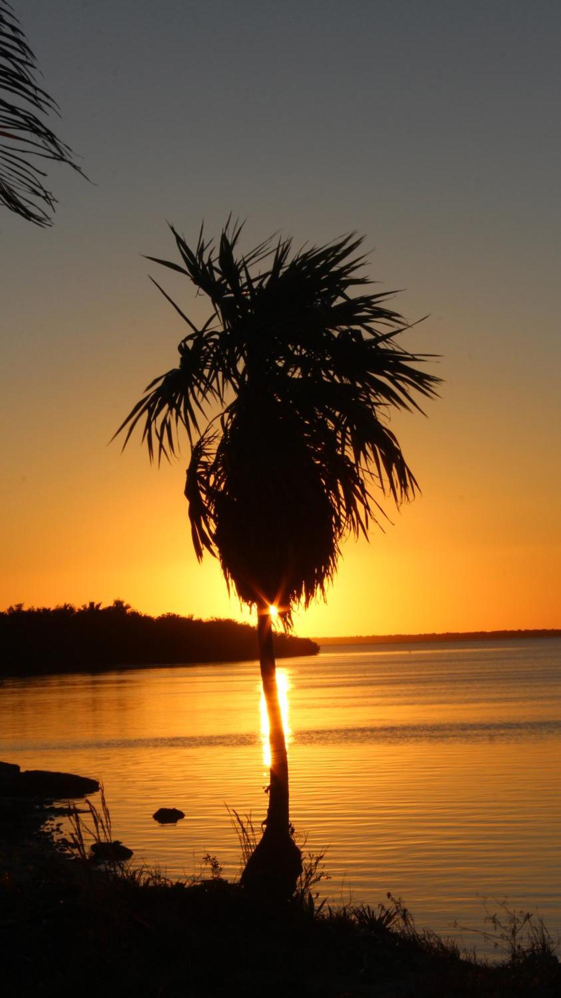 Ikarus Costa Mujeres Eco Lodge Sunset View Κανκούν Εξωτερικό φωτογραφία