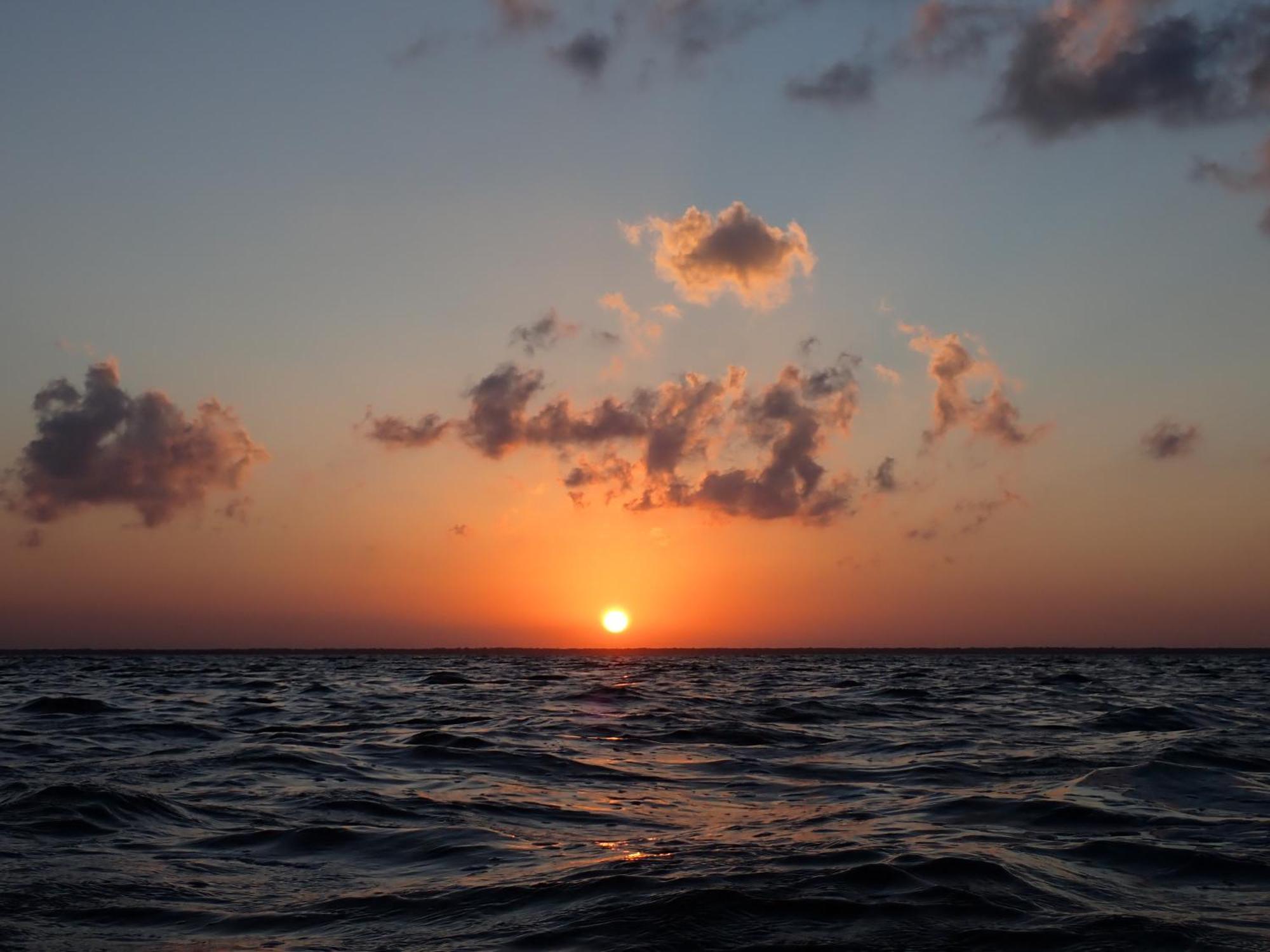 Ikarus Costa Mujeres Eco Lodge Sunset View Κανκούν Εξωτερικό φωτογραφία