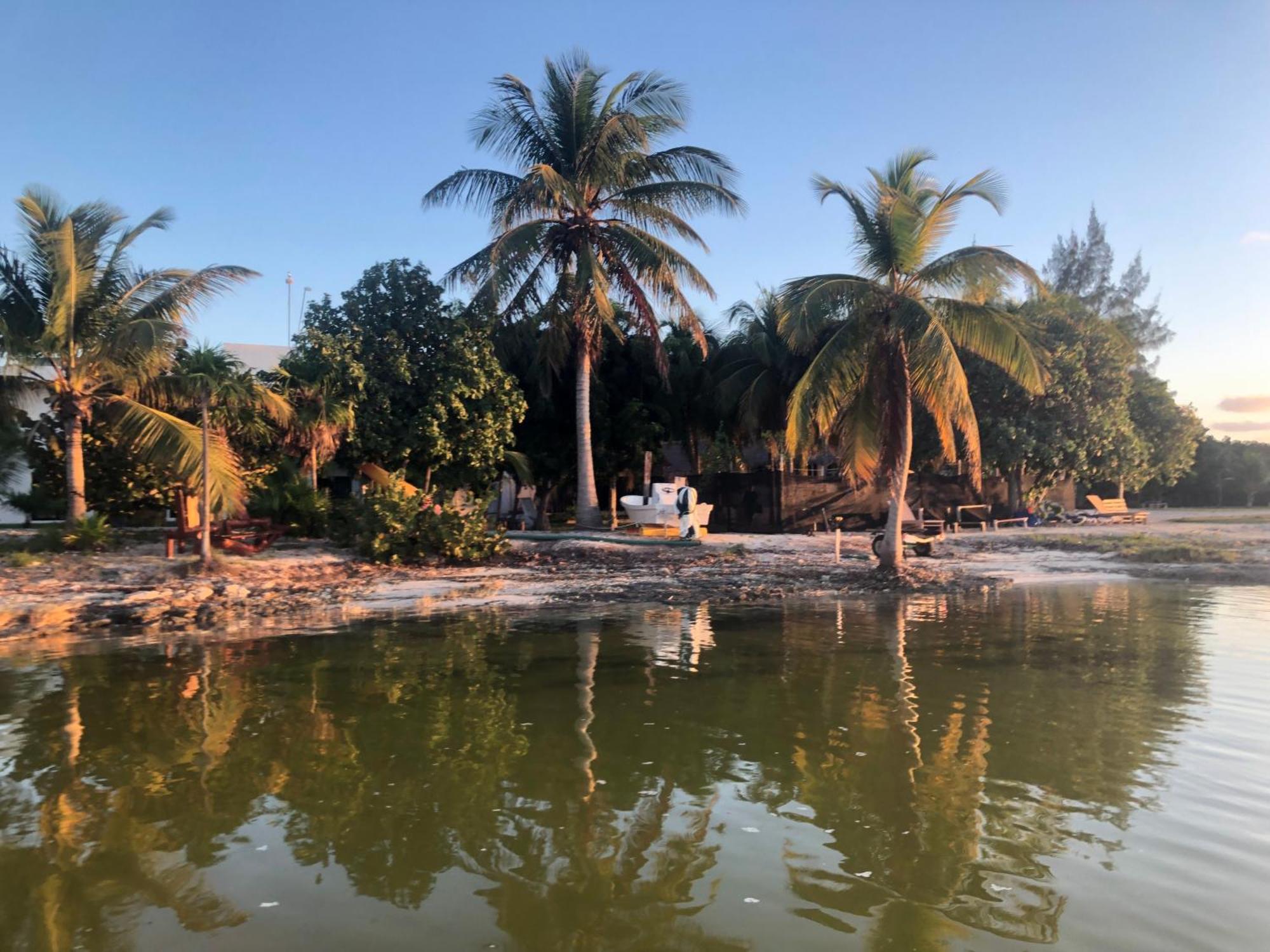Ikarus Costa Mujeres Eco Lodge Sunset View Κανκούν Εξωτερικό φωτογραφία